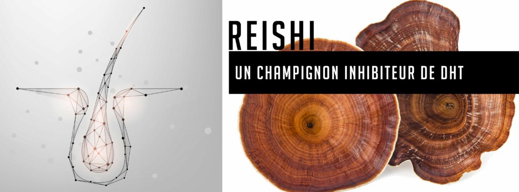 reishi solution naturelle perte de cheveux