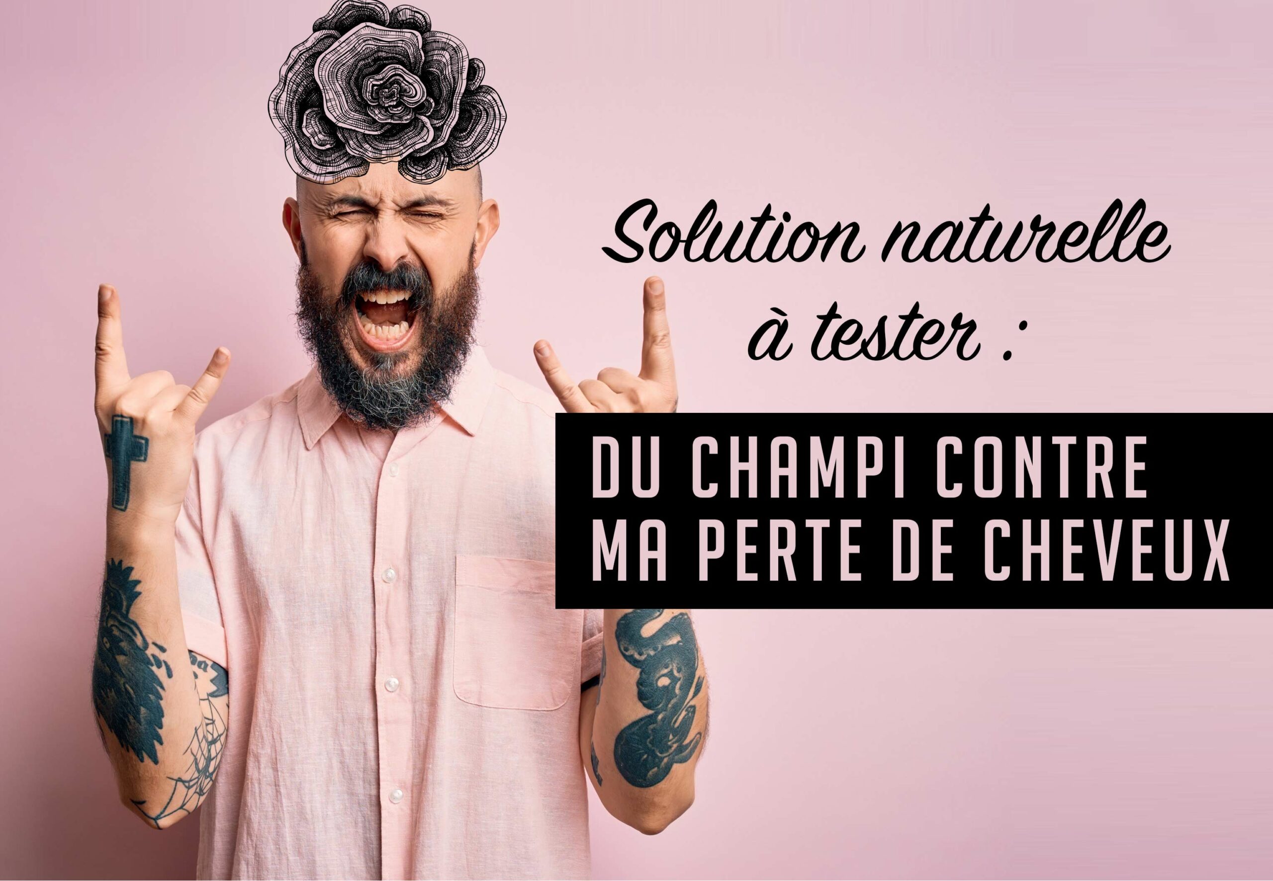 Des champignons pour vos cheveux ! blog solution naturelle dht perte de cheveux scaled