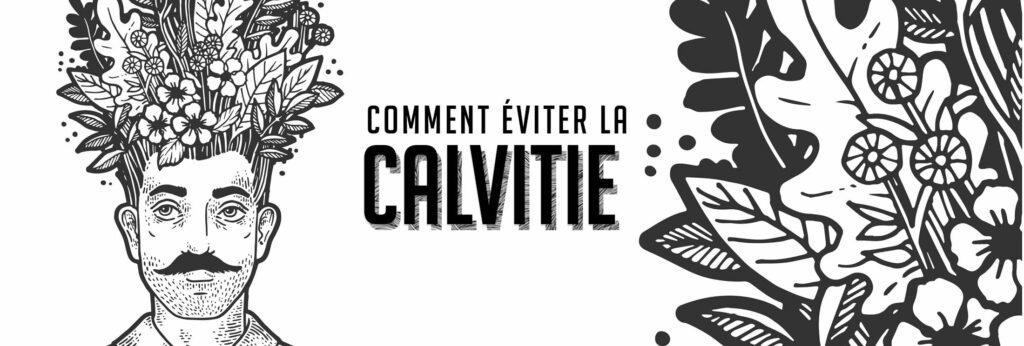  calvitie